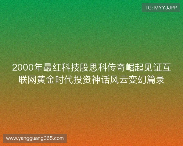 2000年最红科技股思科传奇崛起见证互联网黄金时代投资神话风云变幻篇录 2000年最红科技股思科传奇崛起见证互联网黄金时代投资神话风云变幻篇录